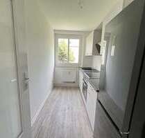 Wohnung zum Mieten in Chemnitz 320,00 € 44.15 m²
