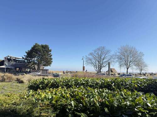 Foto - Wohnung zum Kaufen in Scharbeutz 395.000,00 € 48 m²