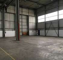 Halle in Biebesheim 2.400,00 € 600 m²
