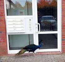 Wohnung zum Kaufen in Wismar 167.000,00 € 57.27 m²