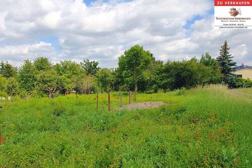 Foto - Grundstück zu verkaufen in Benndorf 78.000,00 € 3823 m²