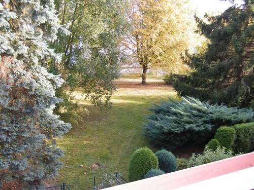 Foto - Wohnung zum Mieten in Chemnitz 289,00 € 56 m²