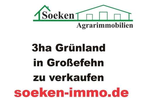 Foto - Grundstück in Großefehn 85.000,00 € 30000 m²
