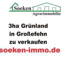 Grundstück in Großefehn 85.000,00 € 30000 m²