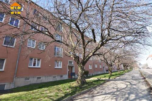 Foto - Wohnung zum Mieten in Chemnitz 375,00 € 67.16 m²