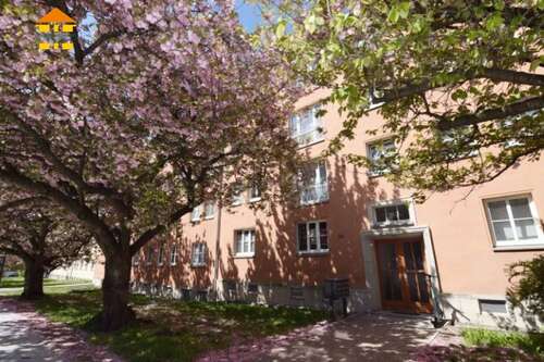 Foto - Wohnung zum Mieten in Chemnitz 375,00 € 67.16 m²