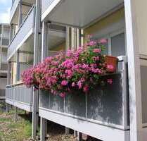 Wohnung zum Mieten in Duisburg 360,00 € 55.04 m²