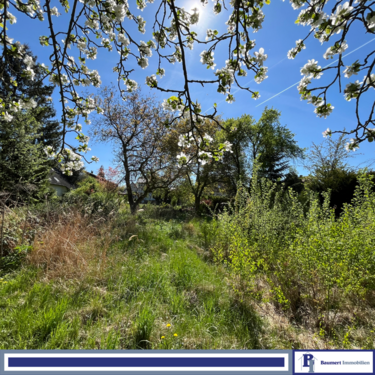 Foto - Grundstück zu verkaufen in Berlin 179.000,00 € 402 m²