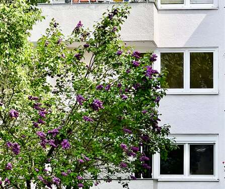Foto - Wohnung zum Kaufen in Berlin 265.000,00 € 67 m²