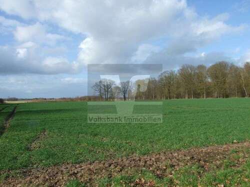 Foto - Grundstück in Hillerse 100.000,00 € 24137 m²