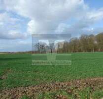 Grundstück in Hillerse 100.000,00 € 24137 m²