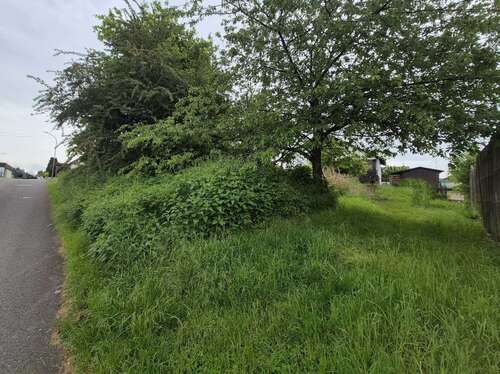Foto - Grundstück zu verkaufen in Merzig-Brotdorf 130.000,00 € 846 m²