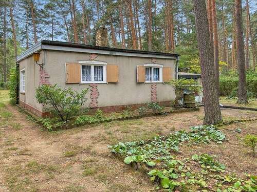 Foto - Haus zum Kaufen in Borkheide 99.500,00 € 30 m²