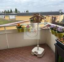 Wohnung zum Kaufen in Zwickau 59.000,00 € 51 m²