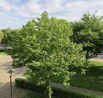 Einzelhandel in Krefeld Gartenstadt 850,00 € 62 m² - Krefeld / Gartenstadt