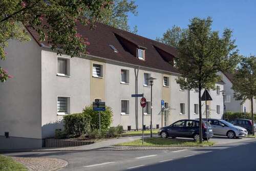 Foto - Wohnung zum Mieten in Bergkamen 339,00 € 37.83 m²