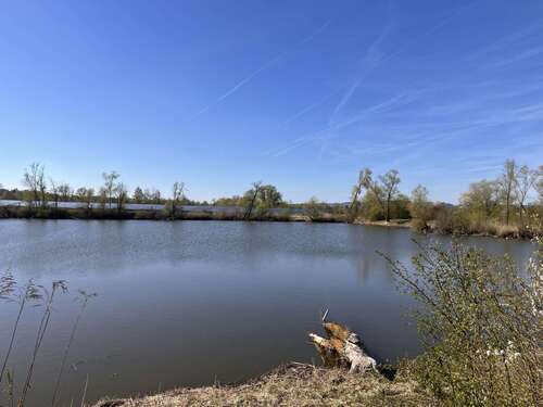 Foto - Grundstück zu verkaufen in Geisling 25.000,00 € 4500 m²