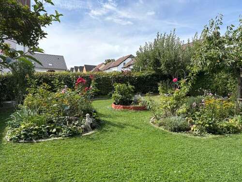 Foto - Wohnung zum Mieten in Zwickau 620,00 € 62.5 m²