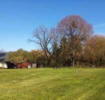 Grundstück zu verkaufen in Strasburg 29.000,00 € 787 m²