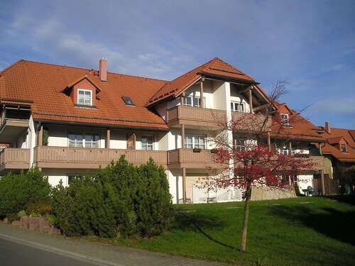 Foto - Wohnung zum Mieten in Höckendorf 230,00 € 37 m²