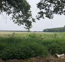 Grundstück zu verkaufen in Schulzendorf 150.000,00 € 19700 m²