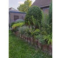 Haus zum Kaufen in Salzgitter-Bad 382.000,00 € 122 m²