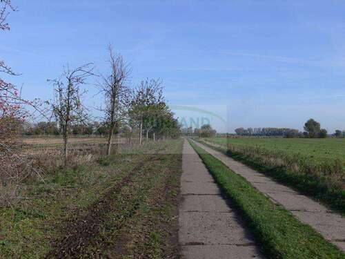 Foto - Grundstück zu verkaufen in Brunne 328.000,00 € 205059 m²