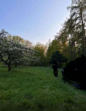 Foto - Grundstück zu verkaufen in Mauer 23.000,00 € 712 m²
