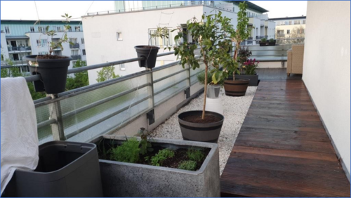 Foto - Wohnung zum Kaufen in Schönefeld 298.000,00 € 55 m²