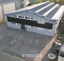 Halle in Bischweier 700.000,00 € 560 m²