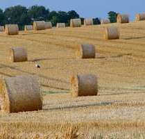 Grundstück in Lübs 99.000,00 € 138930 m²