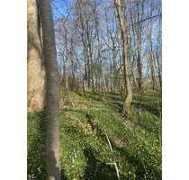 Grundstück in Eschweiler 140.000,00 € 148000 m²