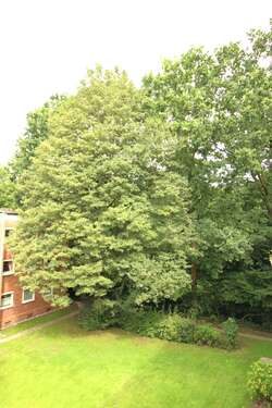 Foto - Wohnung zum Kaufen in Hamburg-Nord - Hamburg Langenhorn 199.000,00 € 45 m²