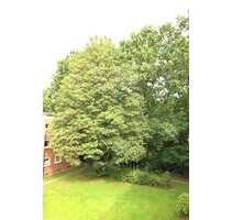 Wohnung zum Kaufen in Hamburg-Nord - Hamburg Langenhorn 199.000,00 € 45 m²