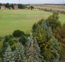 Grundstück zu verkaufen in Klostermansfeld 45.000,00 € 1300 m²