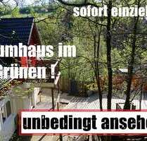 Haus zum Kaufen in Lennestadt 439.000,00 € 153 m²