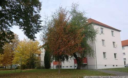 Foto - Wohnung zum Mieten in Riesa 364,00 € 52 m²