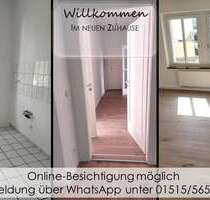 Wohnung zum Mieten in Chemnitz 295,00 € 51.2 m²