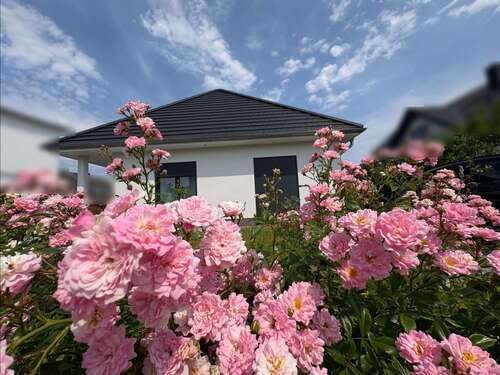 Foto - Haus zum Kaufen in Glowe 599.000,00 € 103 m²