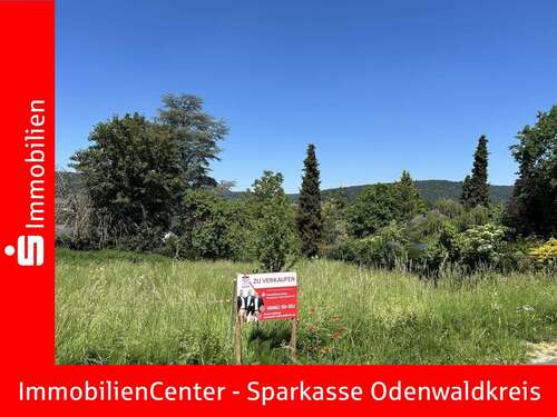 Foto - Grundstück zu verkaufen in Höchst 281.875,00 € 1375 m²