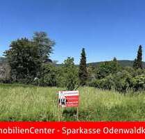 Grundstück zu verkaufen in Höchst 281.875,00 € 1375 m²