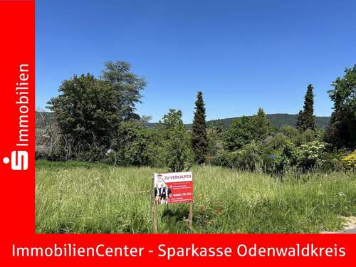 Foto - Grundstück zu verkaufen in Höchst 133.250,00 € 650 m²