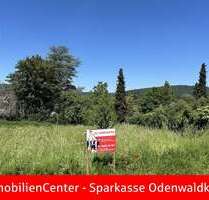 Grundstück zu verkaufen in Höchst 133.250,00 € 650 m²