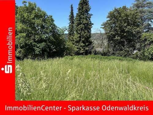 Foto - Grundstück zu verkaufen in Höchst 148.625,00 € 725 m²