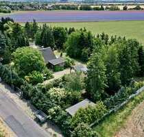 Haus zum Kaufen in Brieselang OT Bredow 895.000,00 € 120 m²