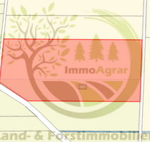 Grundstück in Aletshausen 36.000,00 € 31826 m²