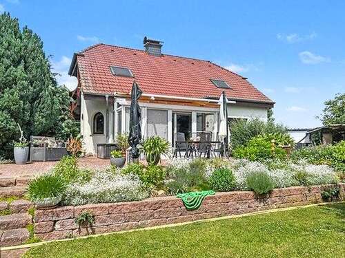 Foto - Haus zum Kaufen in Coswig 299.500,00 € 170 m²