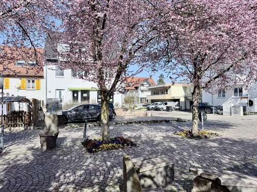 Foto - Haus zum Kaufen in Bad Krozingen 1.150.000,00 € 276 m²