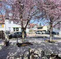 Haus zum Kaufen in Bad Krozingen 1.150.000,00 € 276 m²