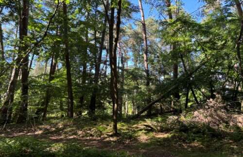 Foto - Grundstück in Schmelz 56.000,00 € 1321 m²